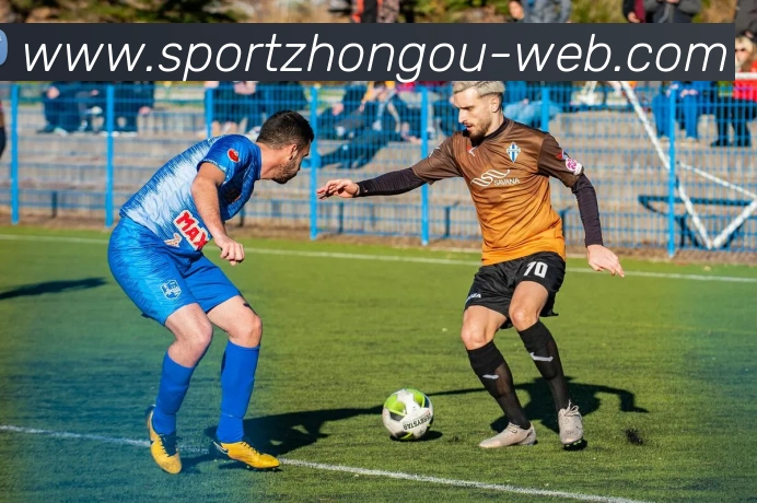 中欧体育平台生态图