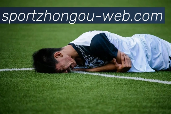 中欧体育全站App